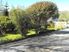 Ariki Court Motel