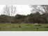 Chapel Hill B & B