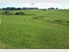 31.2 Ha of Prime Maxwell Bare Land