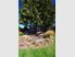 Privacy, Comfort & Style on 1.6 Hectares