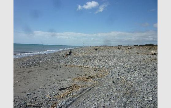 AT YOUR DOOR STEP - TE HORO