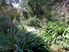 PRIVATE PARADISE
