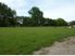 PAULOWNIA PARK FARM