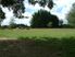 PAULOWNIA PARK FARM
