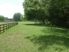 PAULOWNIA PARK FARM