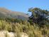 Magnificent Alpine Section - Vendor Keen To Talk