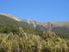 Magnificent Alpine Section - Vendor Keen To Talk