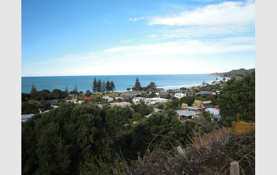 Wainui Beach