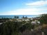 Wainui Beach