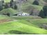 82 Hectares