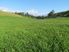 Exclusive Private Farm Park Playground for Big Business or Pleasure