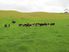 Exclusive Private Farm Park Playground for Big Business or Pleasure