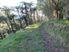 Exclusive Private Farm Park Playground for Big Business or Pleasure
