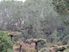 Exclusive Private Farm Park Playground for Big Business or Pleasure