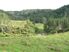 Exclusive Private Farm Park Playground for Big Business or Pleasure