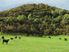 Exclusive Private Farm Park Playground for Big Business or Pleasure