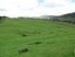 Wharua Station 838 Ha 530 Ha Effective