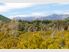 NEW ZEALAND HAS MANY FACES…