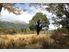 NEW ZEALAND HAS MANY FACES…