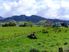 Riwaka Lifestyle Retreat