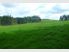 Six Acres Bare Land In Ararimu