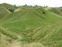 Breeding Hill Country Farm - 604 Ha