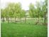 Far From The Madding Crowd