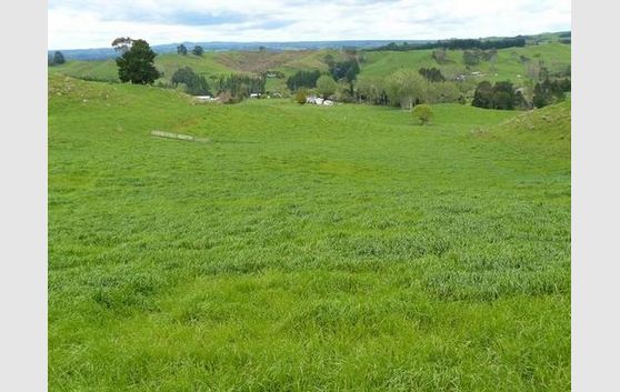 Grazing/Dairy Support in Premium Location
