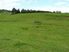 Grazing/Dairy Support in Premium Location