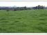 As good as it gets Stunning views - grazing or horticulture - City convenience