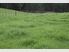 As good as it gets Stunning views - grazing or horticulture - City convenience