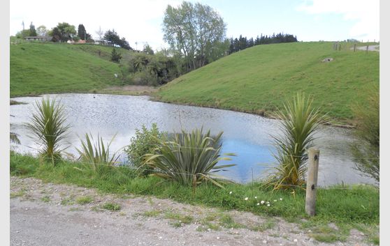 A small grazing block with big features Sea, City, Mount views and elevated house site