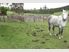 Rare as 'Hens Teeth' near flat site with uninterrupted Mount, Harbour and city views