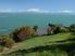 Enormous Waterfront Section in Nelson