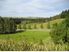 20 Acre Lifestyle with Everything