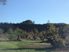 Volcanic Five Hectare In Maunu