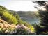 Panoramic views of the Hauraki Gulf. Cheerful, secluded, romantic, luxury, self-contained cottage.