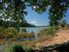 The Headland