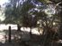 Fantastic Forest Lifestyle