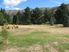 GIBBSTON COUNTRY