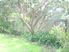 59B Pauanui Boulevard