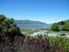 BACH BUSINESS OR BOTH ? YOU DECIDE ! 2,293m2