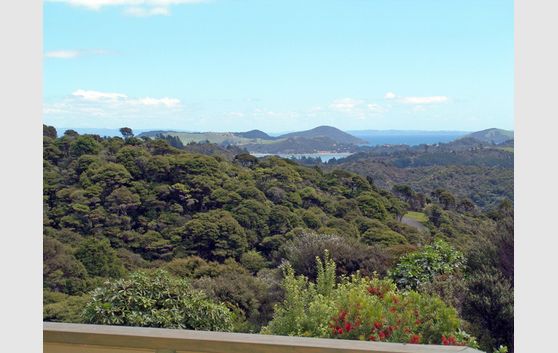 International Influence in Natural B&B for Sale, Coromandel, New Zealand