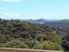 International Influence in Natural B&B for Sale, Coromandel, New Zealand