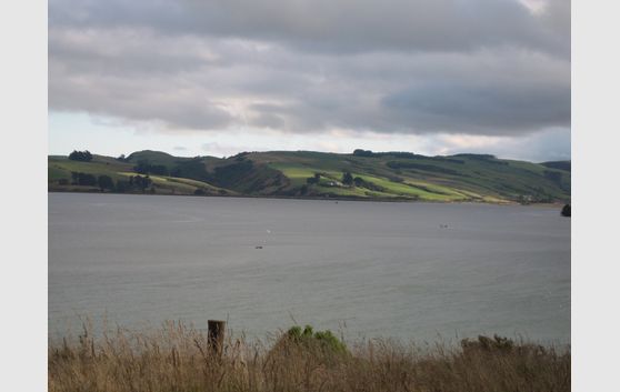 Expansive views of the Catlins Lake