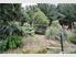Fantastic Lifestyle With Commanding Views