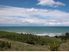PARADISE FOUND