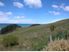 PARADISE FOUND