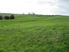 Wellsford/Topuni near-level, Sheltered Position, and organically farme