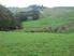 Wellsford/Topuni near-level, Sheltered Position, and organically farme